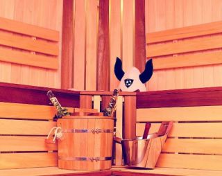 Сауна Сауна КУПЕЛЬ в Рославле