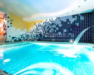 Сауна Сауна в гостинично-развлекательном комплексе АМАКС Премьер-отель в Перми