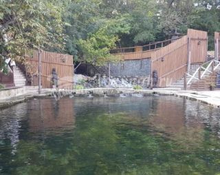 Сауна База отдыха Олимп в Аксае