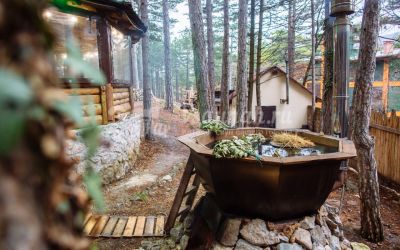 Баня Дача в Ялте