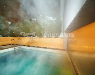 Сауна Банный комплекс Park Hotel в Домодедово