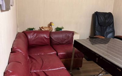 Сауна Малина в Абакане