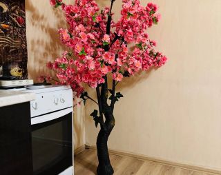 Сауна Сауна Малина в Абакане