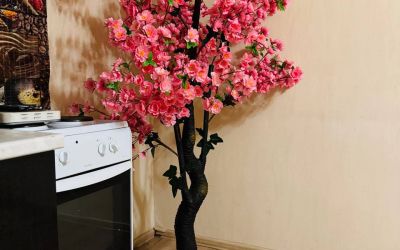 Сауна Малина в Абакане