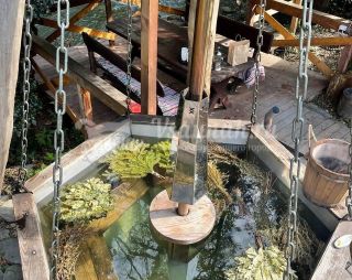 Сауна Чё? Баня! в Сочи