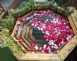 Сауна Русская баня Суворовъ в Омске