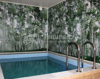 Сауна Сауна Хали Гали в Тольятти