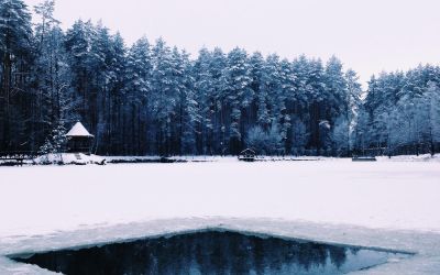 Баня любимый дом в Томске