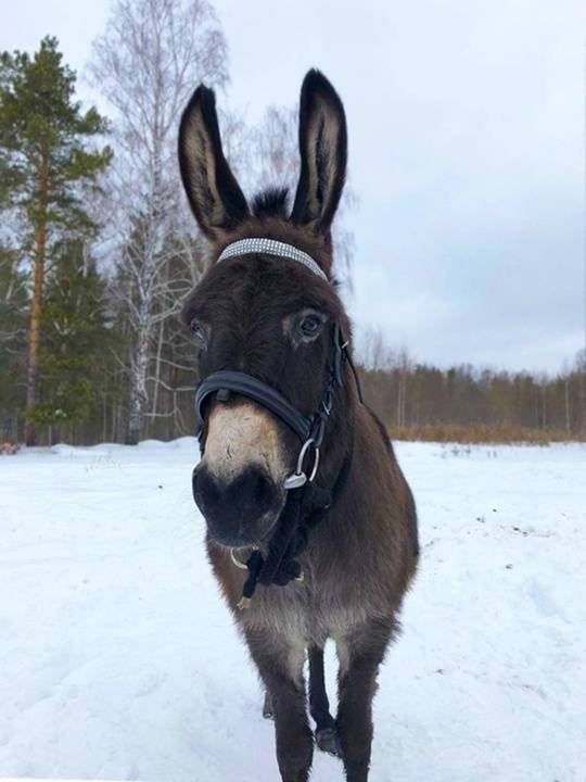 Изображение зала
