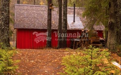 GREENVALD Парк Скандинавия в Санкт-Петербурге