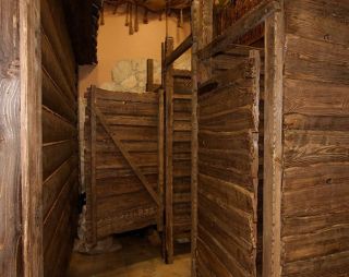 Сауна Сауна Тазик Клуб (Tazik Club) в Ижевске