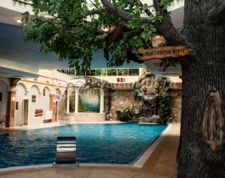 Сауна Оздоровительный комплекс ГРИНН SPA в Орле