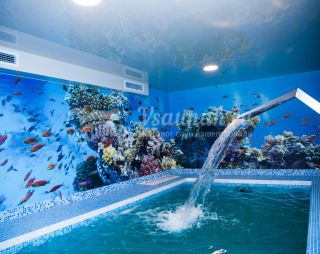 Сауна Сауна Премьер в Костроме