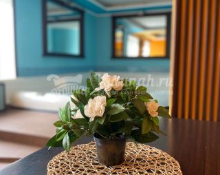 Сауна Сауна Бархат в Самаре