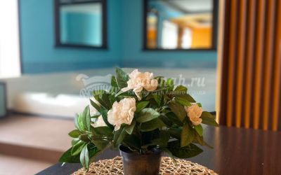 Сауна Бархат в Самаре