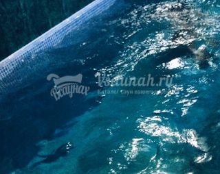 Сауна Сауна на Широкой Речке в Екатеринбурге